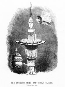 Puseyite Güvesi ve Roma Mumu, 